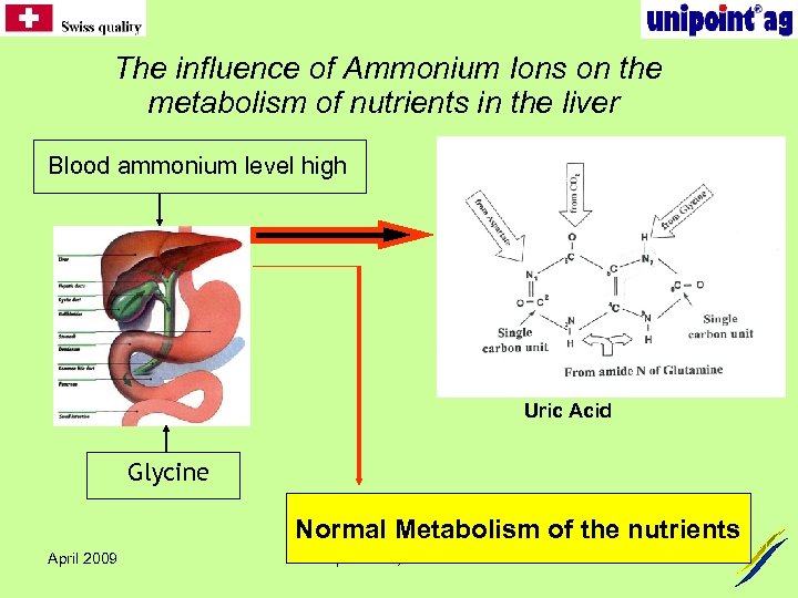 The influence of Ammonium Ions on the metabolism of nutrients in the liver
