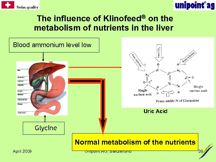  The influence of Klinofeed on the metabolism of nutrients in the liver Blood