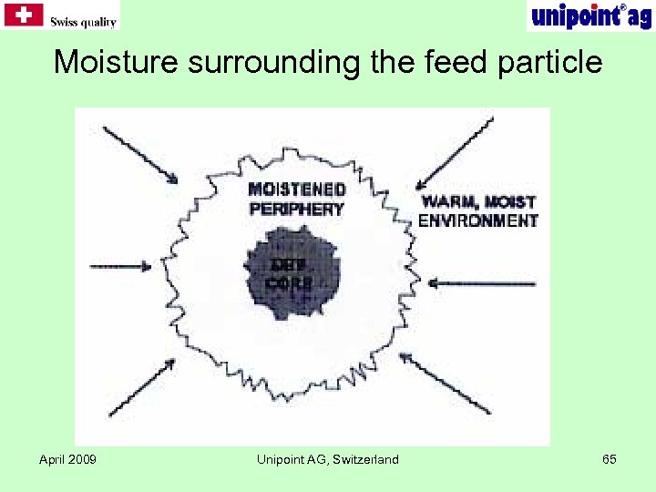Moisture surrounding the feed particle April 2009 Unipoint AG, Switzerland 65 