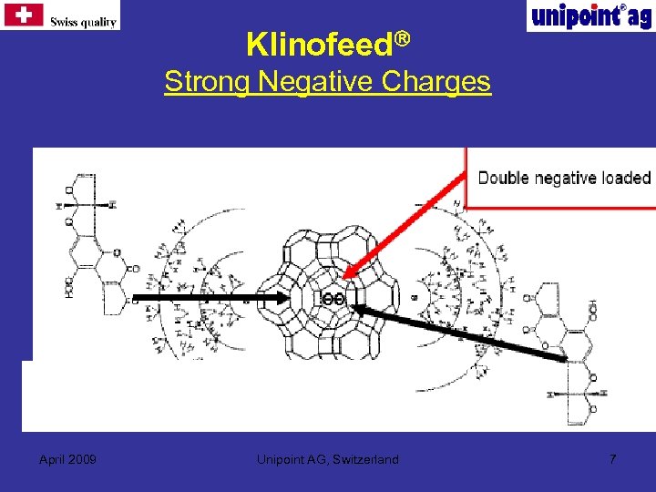  Klinofeed Strong Negative Charges April 2009 Unipoint AG, Switzerland 7 
