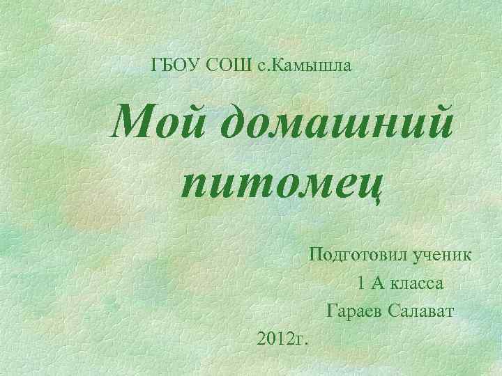 ГБОУ СОШ с. Камышла Мой домашний питомец Подготовил ученик 1 А класса Гараев Салават