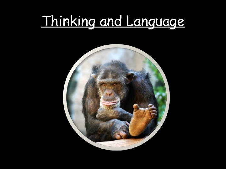 Thinking and Language 