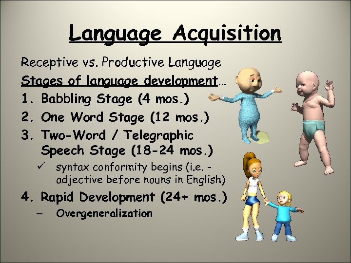 Language Acquisition Receptive vs. Productive Language Stages of language development… 1. Babbling Stage (4