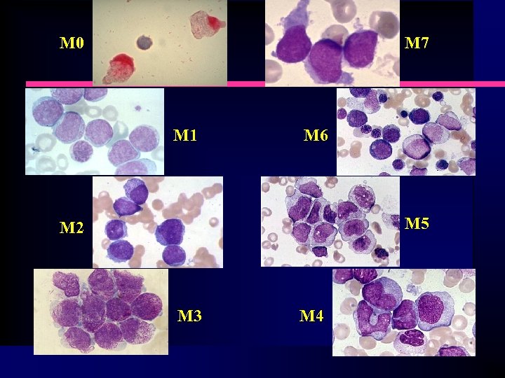 M 0 M 7 M 1 M 6 M 5 M 2 M 3