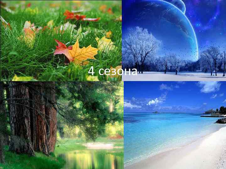 4 сезона 