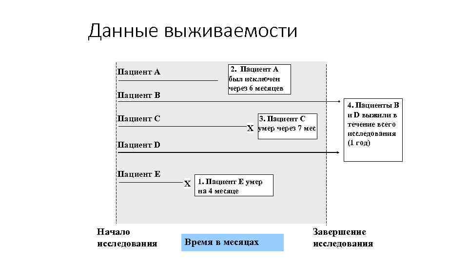Данные выживаемости Пациент A Пациент B 2. Пациент A был исключен через 6 месяцев