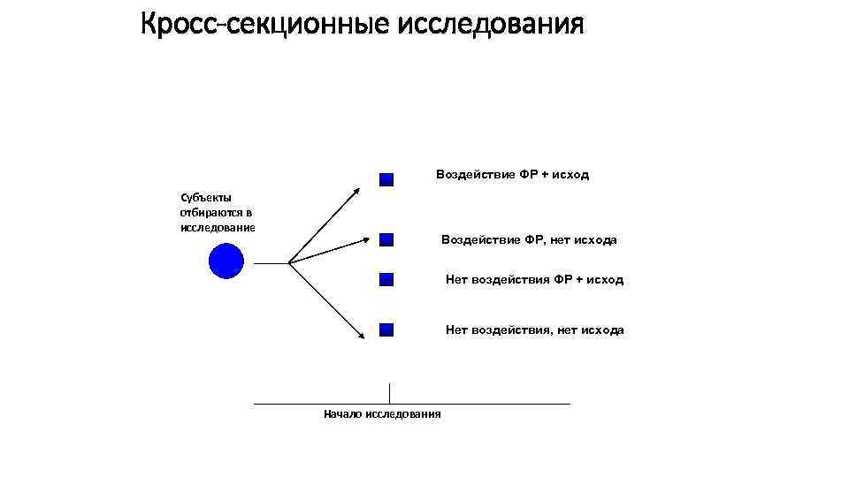 Брисбен логан статистика