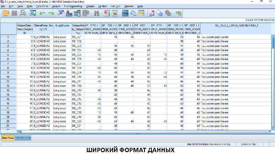 ШИРОКИЙ ФОРМАТ ДАННЫХ 