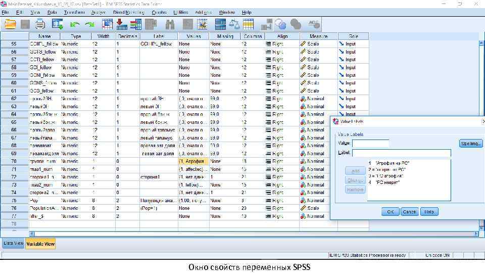 Окно свойств переменных SPSS 