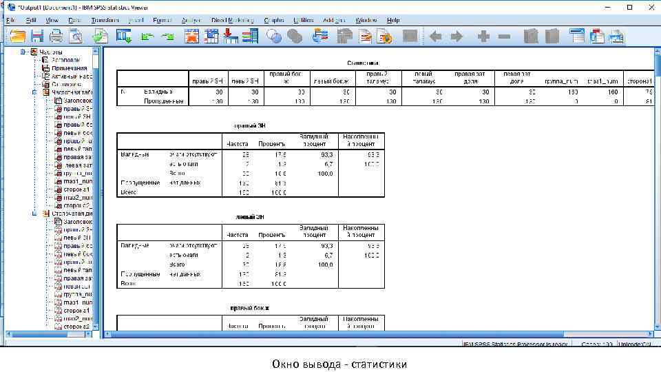 Окно вывода - статистики 