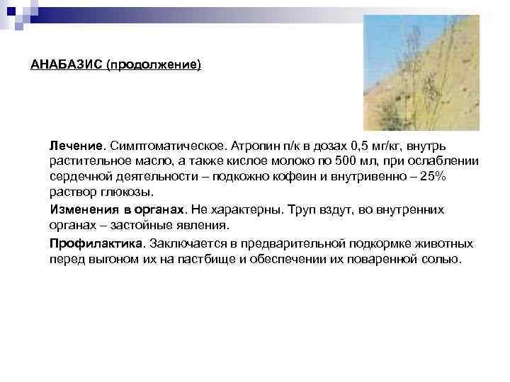 АНАБАЗИС (продолжение) Лечение. Симптоматическое. Атропин п/к в дозах 0, 5 мг/кг, внутрь растительное масло,