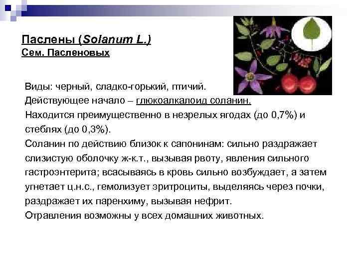 Паслены (Solanum L. ) Сем. Пасленовых Виды: черный, сладко-горький, птичий. Действующее начало – глюкоалкалоид