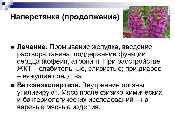 Наперстянка (продолжение) n n Лечение. Промывание желудка, введение раствора танина, поддержание функции сердца (кофеин,