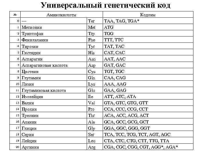 Универсальный генетический код Аминокислоты № 0 1 2 3 4 5 6 7 8