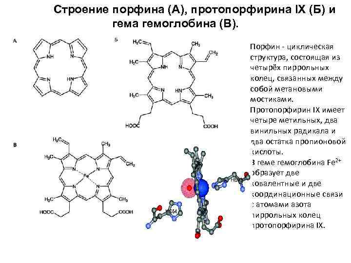 Протопорфирин. Строение порфина протопорфирина IX,. Порфин протопорфирин гем. Гем строение биохимия порфин. Строение порфина протопорфирина IX, Гемма.
