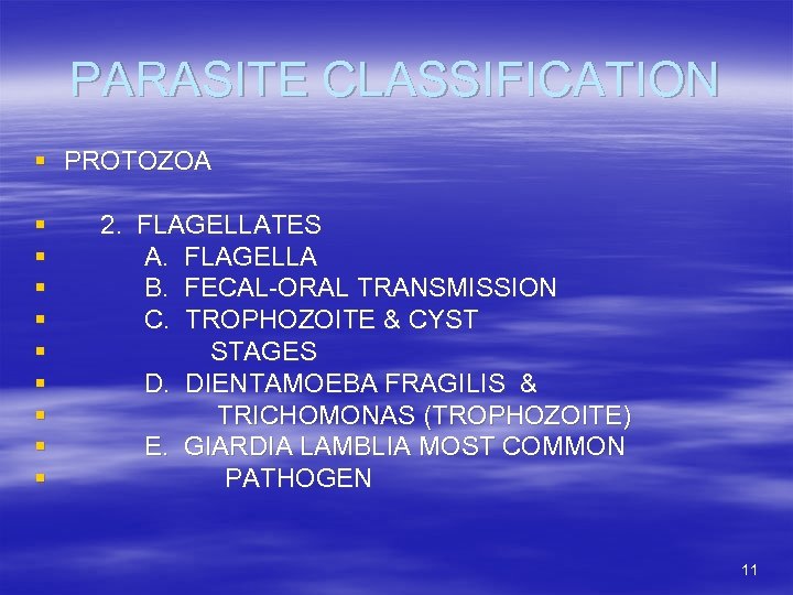 PARASITE CLASSIFICATION § PROTOZOA § § § § § 2. FLAGELLATES A. FLAGELLA B.