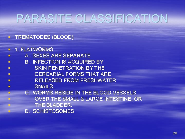 PARASITE CLASSIFICATION § TREMATODES (BLOOD) § 1. FLATWORMS § A. SEXES ARE SEPARATE §