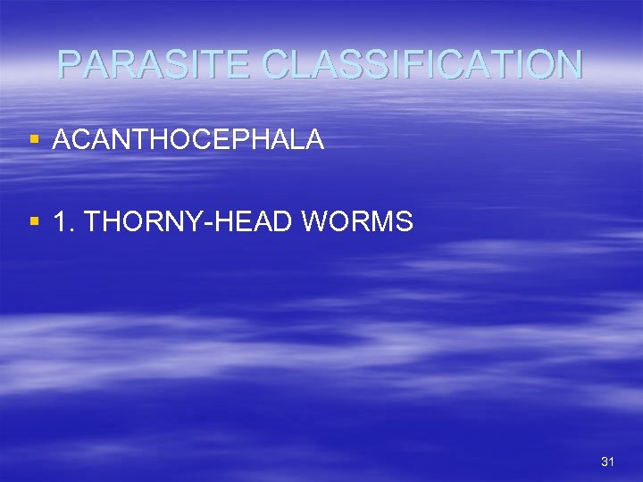 PARASITE CLASSIFICATION § ACANTHOCEPHALA § 1. THORNY-HEAD WORMS 31 