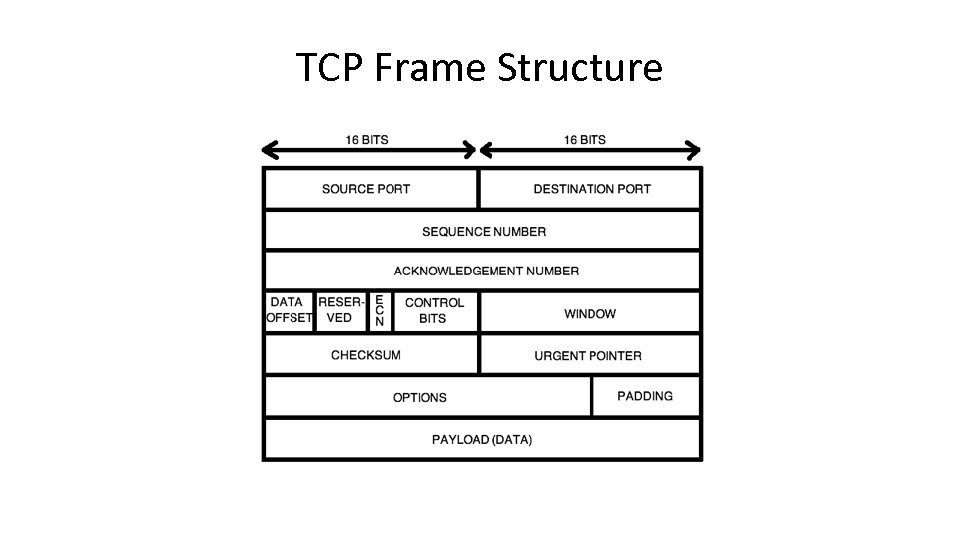 TCP Frame Structure 