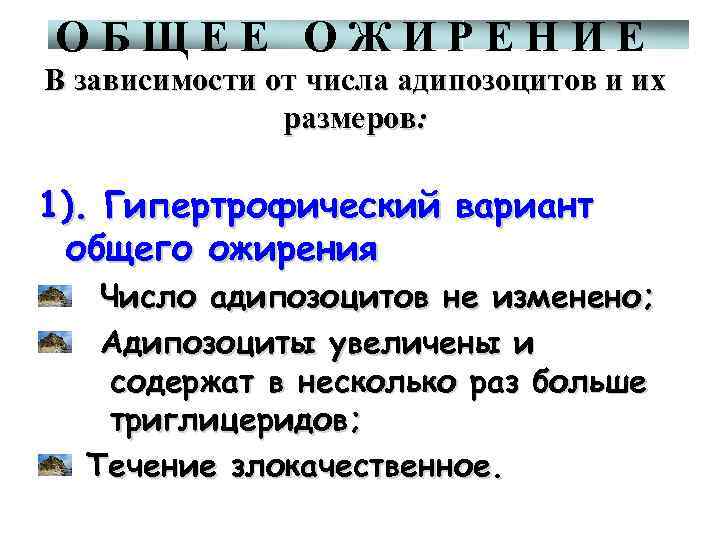 ОБЩЕЕ ОЖИРЕНИЕ В зависимости от числа адипозоцитов и их размеров: 1). Гипертрофический вариант общего