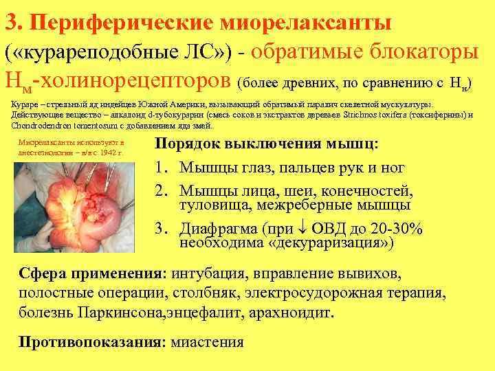 3. Периферические миорелаксанты ( «курареподобные ЛС» ) - обратимые блокаторы Нм-холинорецепторов (более древних, по