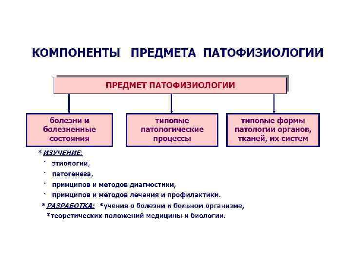 1 1 предмет и методы. Предмет и задачи патофизиологии. Предмет изучения патофизиологии. Предмет и разделы патофизиологии. Типовые формы патологии тканей.