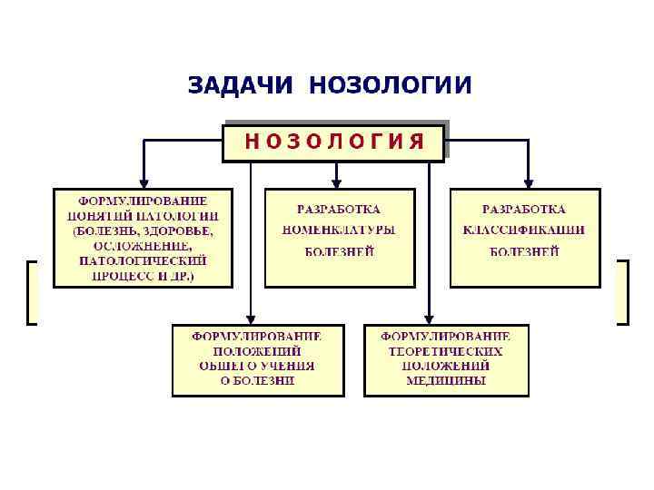 Нозологии нарушений