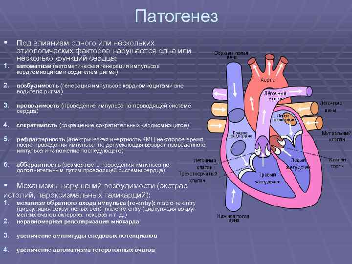 Патогенез § Под влиянием одного или нескольких 1. этиологических факторов нарушается одна или несколько