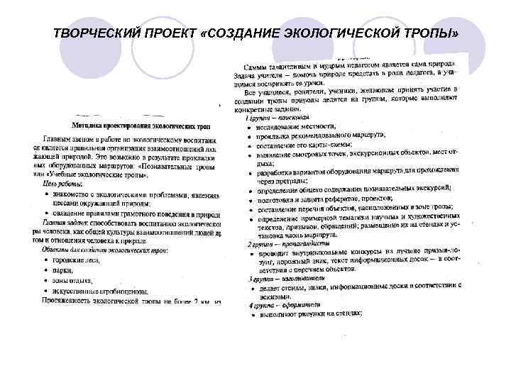 ТВОРЧЕСКИЙ ПРОЕКТ «СОЗДАНИЕ ЭКОЛОГИЧЕСКОЙ ТРОПЫ» 