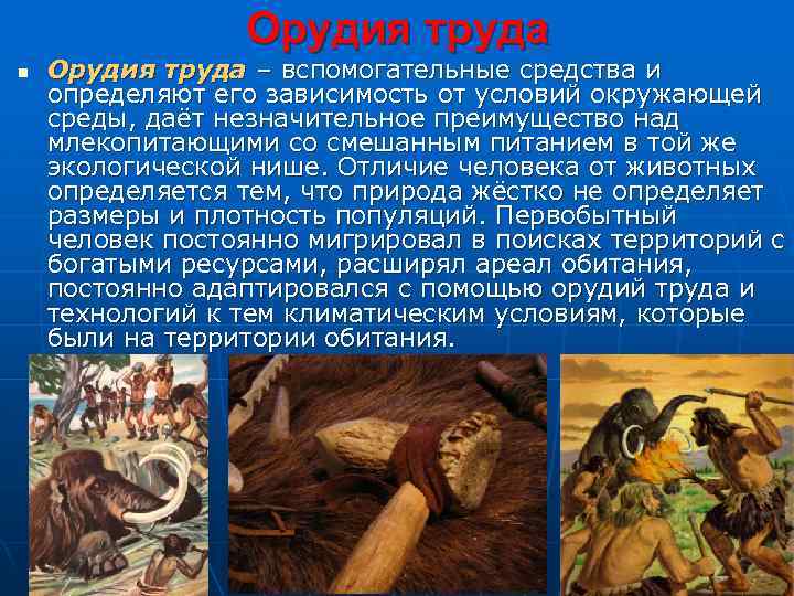 Орудия труда n Орудия труда – вспомогательные средства и определяют его зависимость от условий