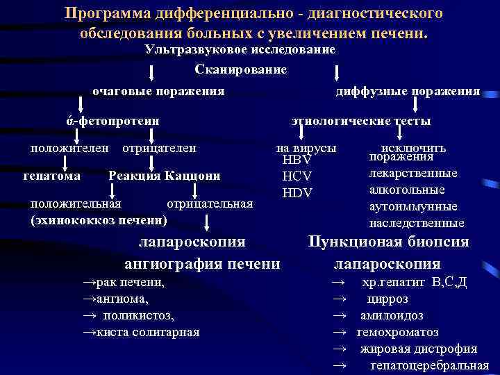 Программа дифференциально - диагностического обследования больных с увеличением печени. Ультразвуковое исследование Сканирование очаговые поражения