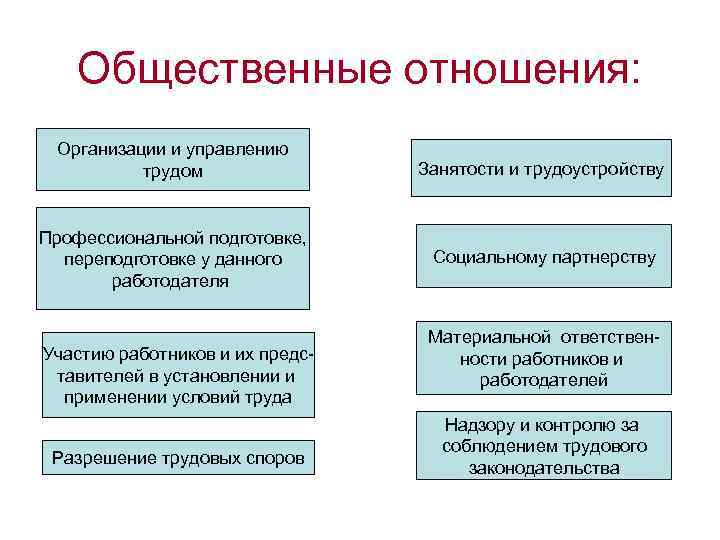 Общественные отношения: Организации и управлению трудом Занятости и трудоустройству Профессиональной подготовке, переподготовке у данного