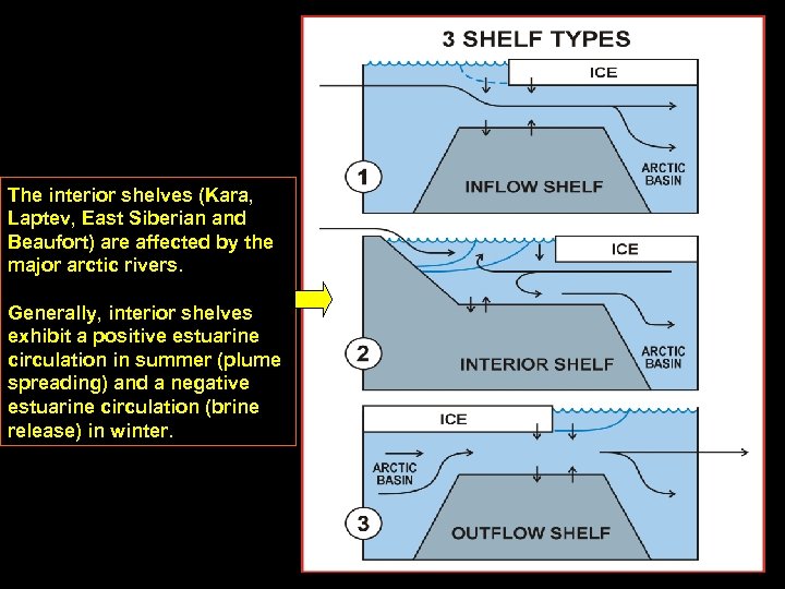 The interior shelves (Kara, Laptev, East Siberian and Beaufort) are affected by the major