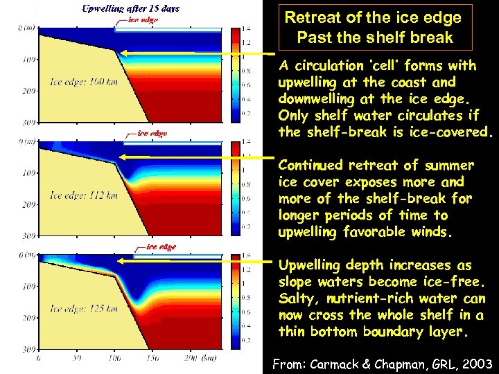 Retreat of the ice edge Past the shelf break A circulation ‘cell’ forms with