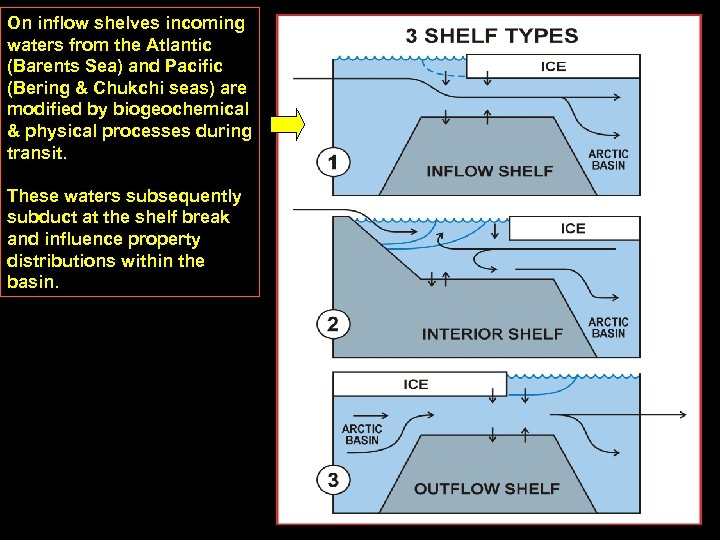On inflow shelves incoming waters from the Atlantic (Barents Sea) and Pacific (Bering &