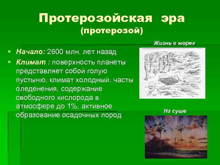 Архейская и протерозойская эры с точки зрения биолога проект