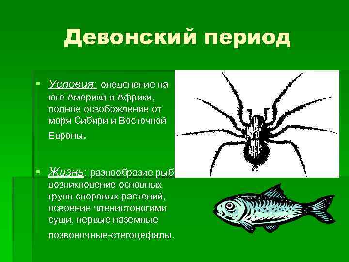 Девонский период § Условия: оледенение на юге Америки и Африки, полное освобождение от моря