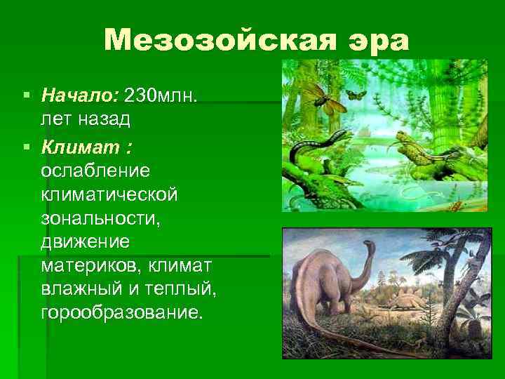 Мезозойская эра § Начало: 230 млн. лет назад § Климат : ослабление климатической зональности,