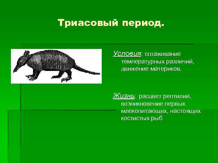 Триасовый период. Условия: сглаживание температурных различий, движение материков. Жизнь: расцвет рептилий, возникновение первых млекопитающих,