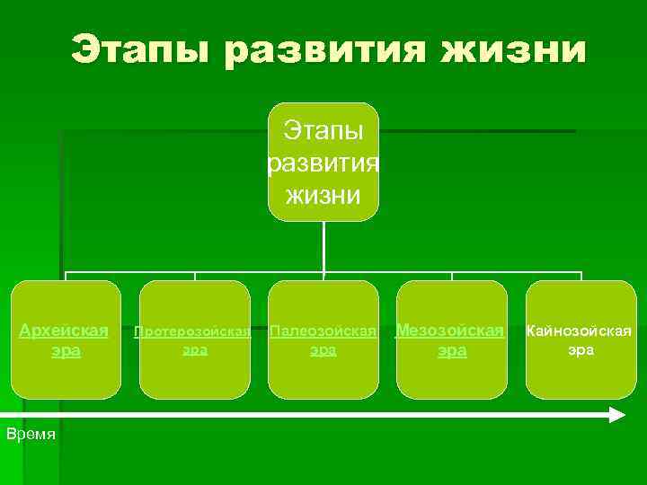 Этапы развития жизни Архейская эра Время Протерозойская эра Палеозойская эра Мезозойская эра Кайнозойская эра