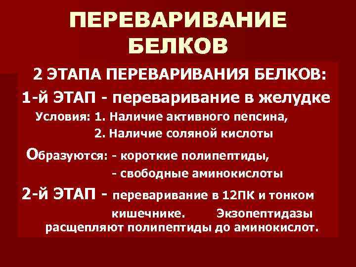 ПЕРЕВАРИВАНИЕ БЕЛКОВ 2 ЭТАПА ПЕРЕВАРИВАНИЯ БЕЛКОВ: 1 -й ЭТАП - переваривание в желудке Условия: