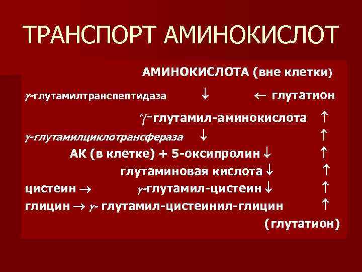 ТРАНСПОРТ АМИНОКИСЛОТА (вне клетки) -глутамилтранспептидаза глутатион -глутамил-аминокислота АК (в клетке) + 5 -оксипролин глутаминовая