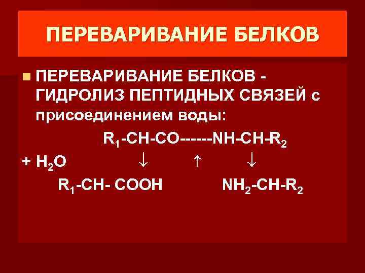 ПЕРЕВАРИВАНИЕ БЕЛКОВ n ПЕРЕВАРИВАНИЕ БЕЛКОВ - ГИДРОЛИЗ ПЕПТИДНЫХ СВЯЗЕЙ с присоединением воды: R 1