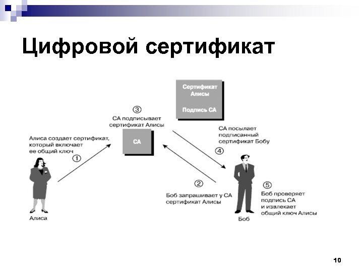 Цифровой сертификат 10 