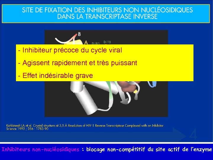 - Inhibiteur précoce du cycle viral - Agissent rapidement et très puissant - Effet