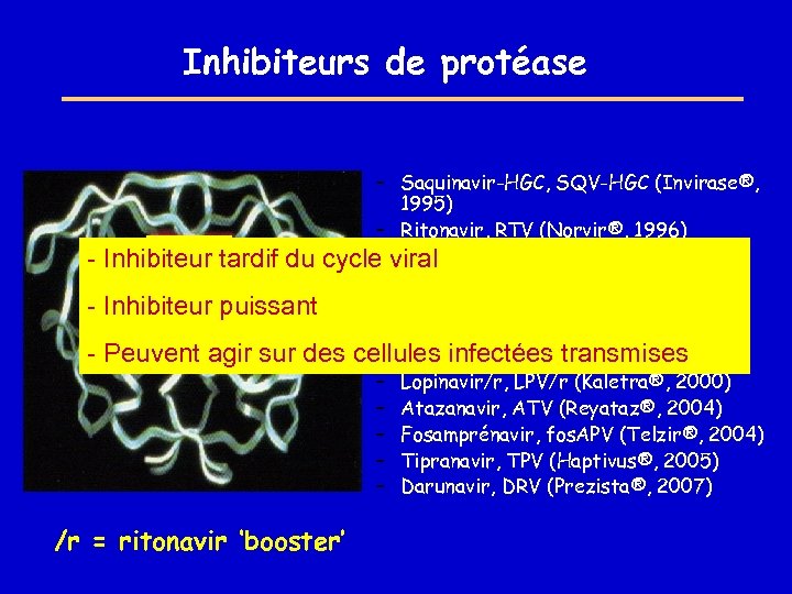 Inhibiteurs de protéase - – Saquinavir-HGC, SQV-HGC (Invirase®, 1995) – Ritonavir, RTV (Norvir®, 1996)