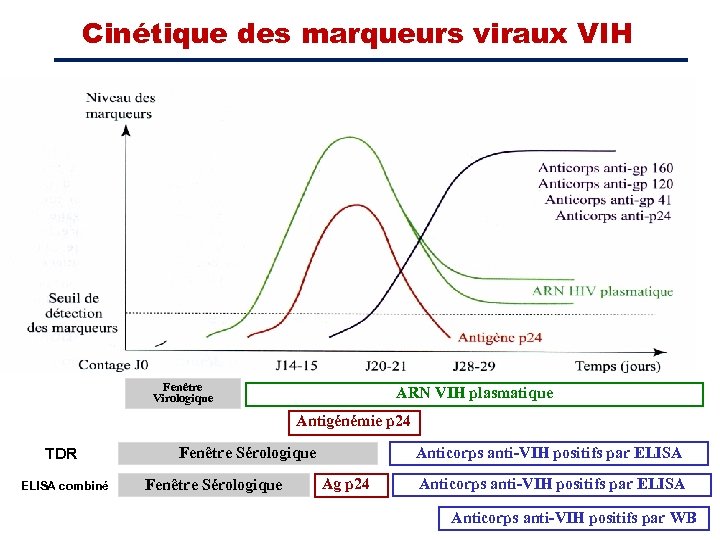 Cinétique des marqueurs viraux VIH Fenêtre Virologique ARN VIH plasmatique Antigénémie p 24 TDR