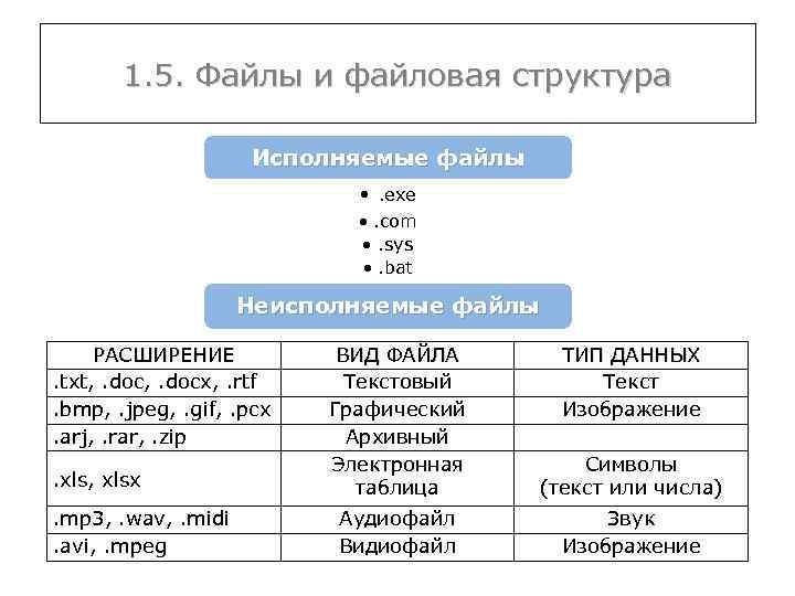 1. 5. Файлы и файловая структура Исполняемые файлы • . exe • . com
