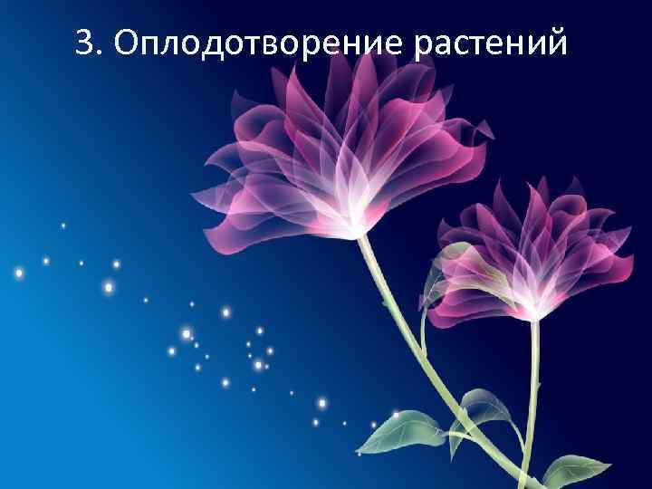 3. Оплодотворение растений 