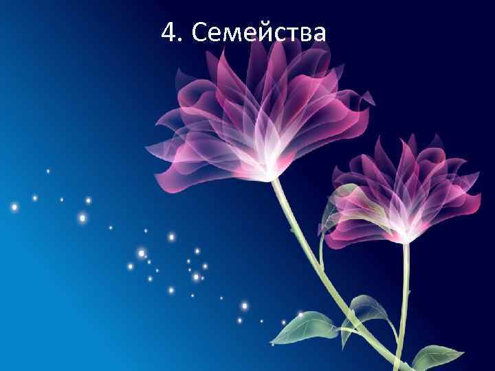 4. Семейства 